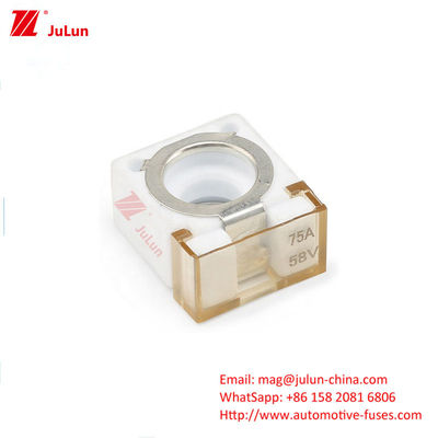 Wohnmobil-LKW CFBAR1-250CS Sicherungshalter 1 Verteilerleitung SBM-C