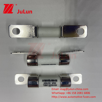 DC750V 10A-100A Boxed EV Fuse für Elektrofahrzeuge Traktionssystem Energiespeicherung 25A 30A 50A EV FUSE