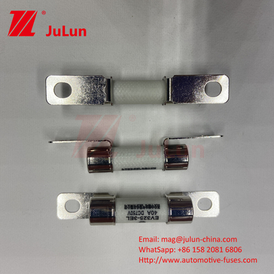 ISO 8820 Keramische Autoschraubverschlüsse 30A 40A 50A 750VDC 10*38mm EV325