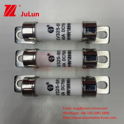 Fahrzeugbatterielader für Elektrofahrzeuge ISO-zertifizierte Leistungsumwandlung 15A 30A 25A 750VDC 14x51 50A EV FUSE
