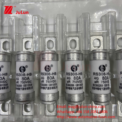 EV Sicherung 100A Eigenschaften Schraubenkonstruktion spezifisch 750VDC 10A 25A 50A 63A