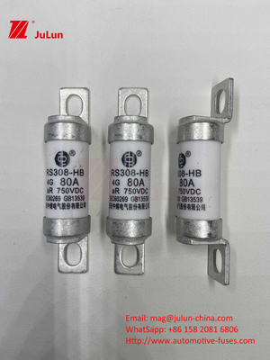 EV Sicherung 100A Eigenschaften Schraubenkonstruktion spezifisch 750VDC 10A 25A 50A 63A