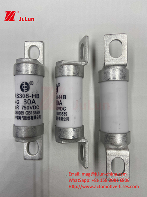 EV Sicherung 100A Eigenschaften Schraubenkonstruktion spezifisch 750VDC 10A 25A 50A 63A