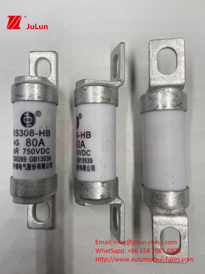 Elektrofahrzeug Sicherung RS308 DC750V 10A 15A 20A mit ausgezeichneter Schwingungsbeständigkeit 63A