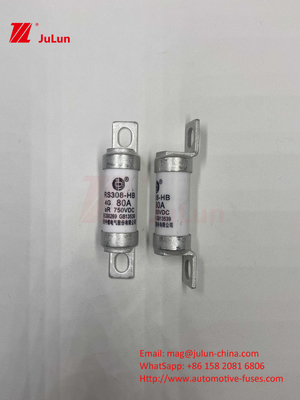 EV RS308 Sicherung Mechanischer Schock 25A 30A 40A 50A Keramisches Kupfer Nennspannung DC750V Heim-Ev-Ladegerät für Elektroautos
