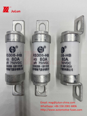 EV RS308 Sicherung Mechanischer Schock 25A 30A 40A 50A Keramisches Kupfer Nennspannung DC750V Heim-Ev-Ladegerät für Elektroautos