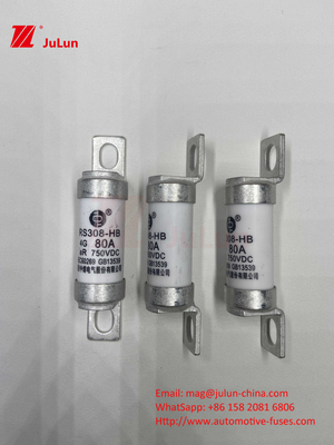 M6 Elektrofahrzeug Sicherung mit geschraubtem Keramik-EV-Ladegerät 750VDC Sicherung Chemische Belastung und hohe Temperatur 40A 50A RS308