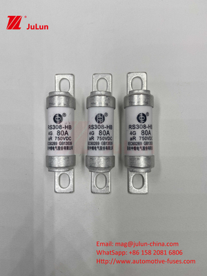 M6 Schrauben EV Sicherung 750V 80A10A 30A 50A 750VDC EV Sicherung Hei sind geeignet für EV Traktionssystem, Leistung Umwandlung