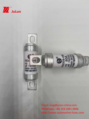 Leistungsumwandlung 63A 15A 30A 25A 100A 50A EV FUSEDC750V Nennspannung Elektrofahrzeuge