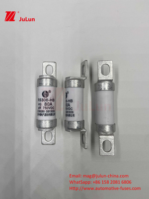 Elektrofahrzeug Sicherung für Traktionssystem Energiespeicher und Olted 750VDC 25A 30A 40A 50A Für RS308 HB EV