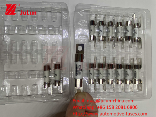Elektrofahrzeuge FUSE Umgebungszuverlässigkeit entspricht ISO8820, JASO D622 und GB/T31465 30A 40A 50A 80A 750VDC