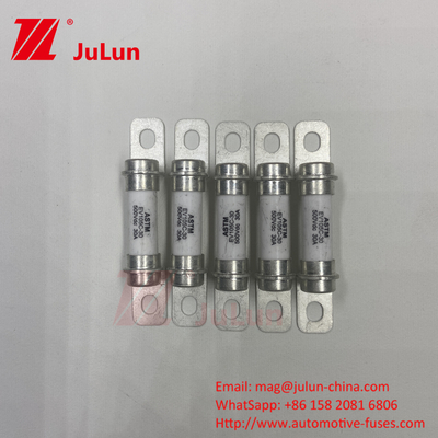 Elektrische Fahrzeugfrequenzumwandler mit Schnellverschluss 500VDC 5A 15A 30A 40A 10A 20A