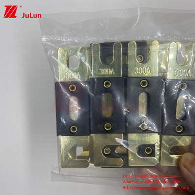 2Fork Bolt AGU Sicherung 200A/ANL Fork Bolt Sicherung Platte Sicherung Automotive Sicherung 500A