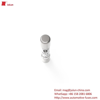 500V EV-Sicherung 10A-60A Gleichstromkreislaufröhrensicherung EV315-C-3E OEM