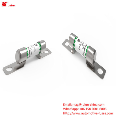 EV321-3EL 30A Elektrofahrzeug Sicherung mit OEM-Logo-Schutz und Leistung in Boxed Packing Methode