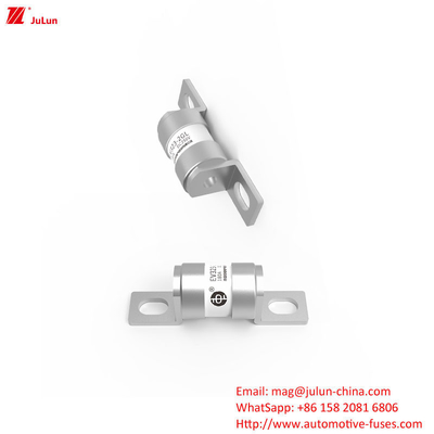 Elektrische Sicherung für Fahrzeuge mit neuer Energie 16A 20A 25A 32A 35A 40A 50A 63A 180A 250V 30KA OEM-Logo