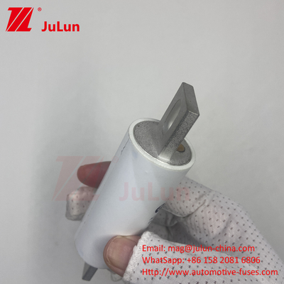 RS309-MM-EV300A Mittelfusionsstrom 1000VDC 1000VAC in Hochspannungssystemen für Elektrofahrzeuge