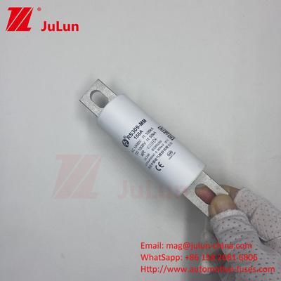 RS309-MM-EV500A1000VDC 50KA 1000VAC 100KA Sicherungsschraubenschutz
