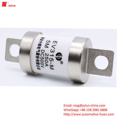 Automobil-EV-Sicherung für Elektrofahrzeuge Ladegerät Adapter 100-400A DC500V