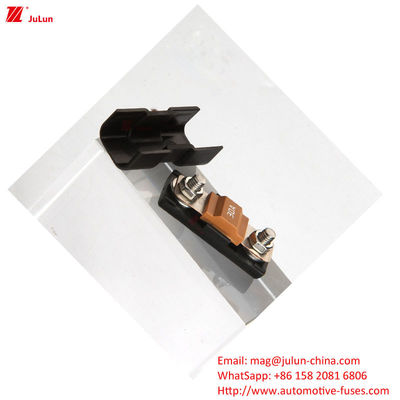 32V Fahrzeugschutzschutzschutzhalter mit 30A-500A Bolt/Bolt Rated Ampere 2-Polar Schutzschutzblock