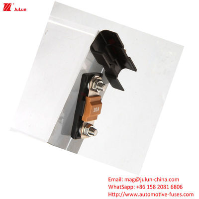 32V Fahrzeugschutzschutzschutzhalter mit 30A-500A Bolt/Bolt Rated Ampere 2-Polar Schutzschutzblock