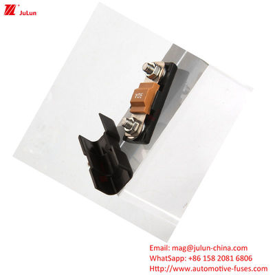 32V Fahrzeugschutzschutzschutzhalter mit 30A-500A Bolt/Bolt Rated Ampere 2-Polar Schutzschutzblock