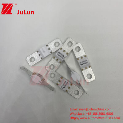 ASTM 300A 125VDC Schraubverschluss A121601 für den Schutz von Elektrofahrzeugen