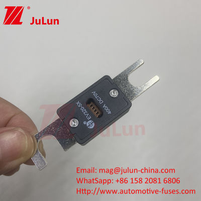 EV320 100A 200A 225A 250A 300A 350A 500A 70VDC Schlag 10KA/20KA Sicherung zur Aufladung von Elektrofahrzeugen