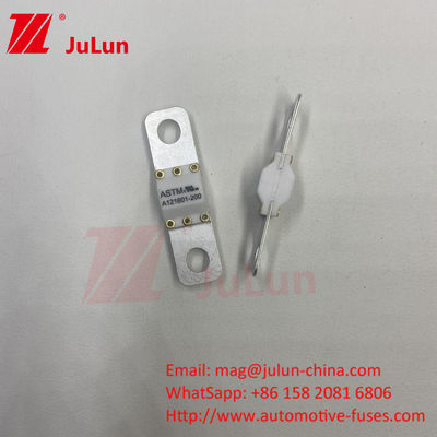 ASTM FUSE 121601 80A 125VDC Sicherung für Elektroautos