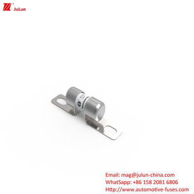 50A DC250V tragbare Elektrofahrzeugladestelle mit mittlerer Fusion