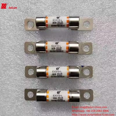 EV315L 3E Fahrzeugsicherung Medium 10A-60A DC500V Elektrofahrzeuge