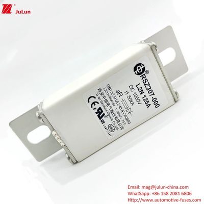 Boxed Portable 100A Current EV-Ladegerät für elektrische Stromversorgungssysteme