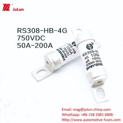 Ev-Ladegerät RS308-HB4G Serie 32A 63A 100A Mini-Sicherheiten für Auto