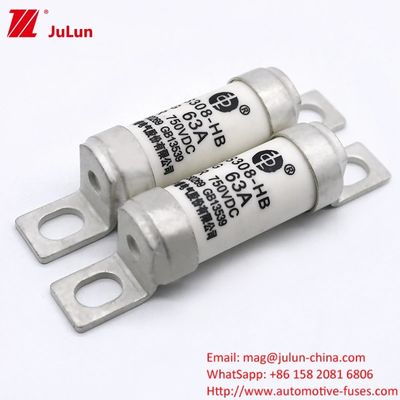 DC750V 32A 63A 100A Elektrofahrzeugsicherungen für elektrische Stromsysteme