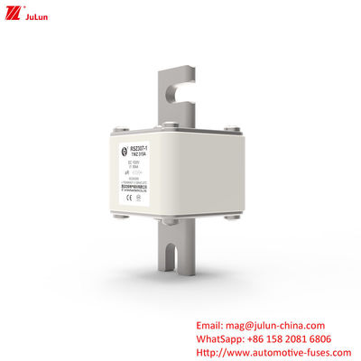 315A DC250V Portable EV-Ladegerät Sicherung Endlösung für EV-Besitzer