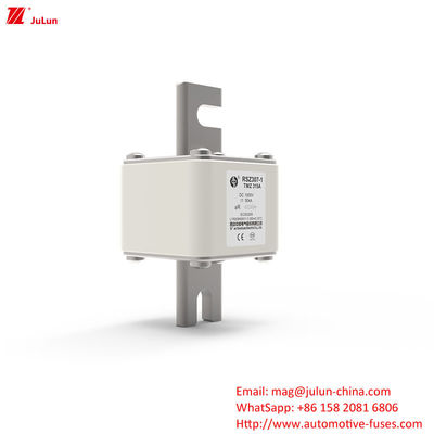 315A DC250V Portable EV-Ladegerät Sicherung Endlösung für EV-Besitzer
