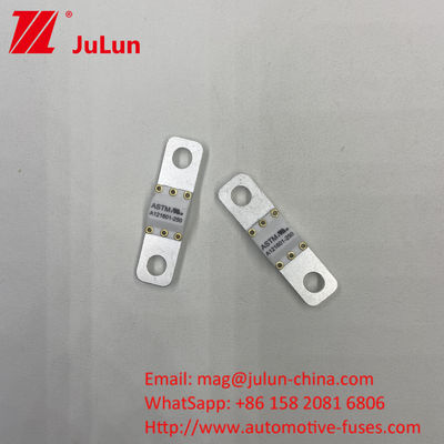 A121601 Serie Elektrofahrzeugbatterie Sicherung 50 200A 250A 100A 300A 125V Gleichstrom