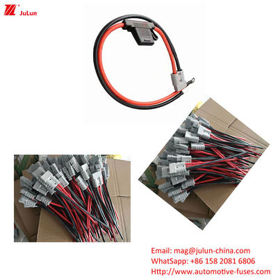 EU UL Standard Elektrofahrzeug Sicherungshalter Strom 30A-100A Kunststoff / Nylon Gehäuse