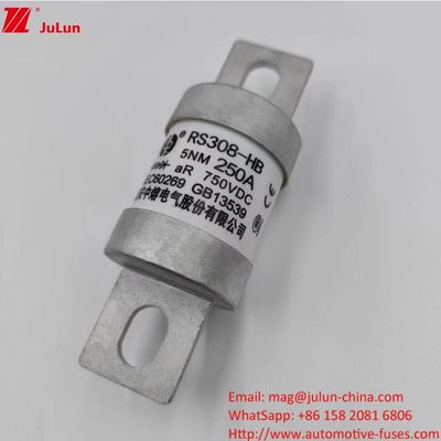 200A 250A 300A -400A Elektrofahrzeug Sicherungsschraube M8 M6 Montagemethode Endgerät Typ 750VDC Energie Sicherung