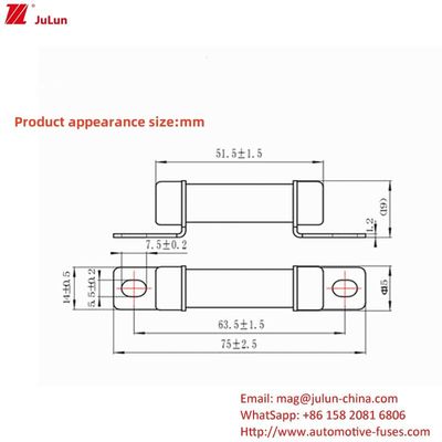 RS309 32A-35A -40A -50A Strom-Ev-Ladegerät Adapter kompatibel mit 750VDC Spannung