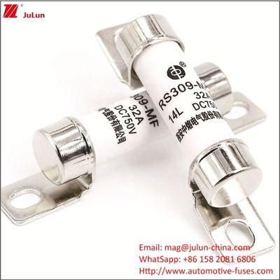 RS309 750VDC 32A 40A Strom Fahrzeugbatterielader mit und Energie Elektrofahrzeug Sicherung 750VDC Endterminal Typ