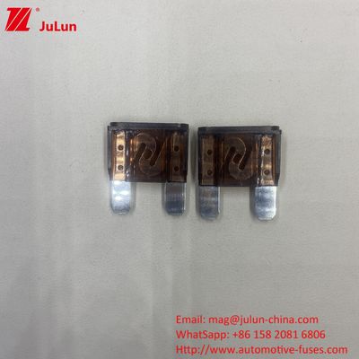 MAXT Blade Fuse 40A Aufrechterhaltung der Stabilität PA66 Messing Fahrzeugschaltungsschalter