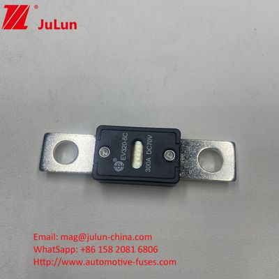 EV320-5C 175A 70VDC SINOFUSE Keramikfahrzeug Sicherungen Kleine Größe Hohe Strömung 70VDC Nennspannung