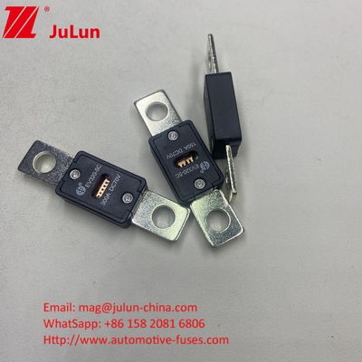 Automobilblatt Sicherungen EV320-3X-150A 70VDC Bolt M8 Installationsmodus für Automotive Auto