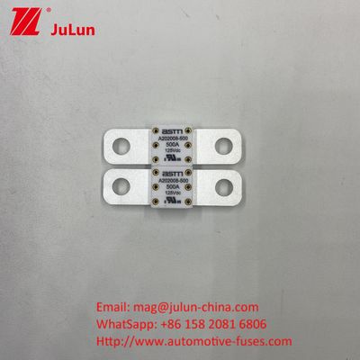 Fahrzeugschaltungsschalter A202008 100A 100VDC EV FUSE ASTM