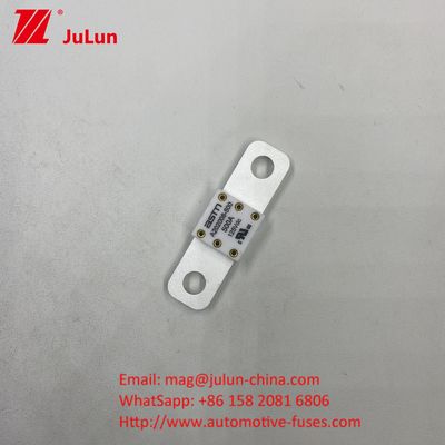 ASTM 202008 Sicherungen für Fahrzeugblätter 125V 150A 125VDC