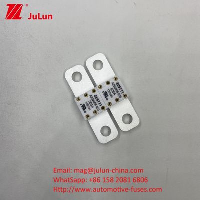 EV Automotive ASTM A202008 200A 125VDC-Schutzschläger mit Nennstrom 100A-500A
