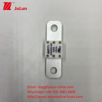 ASTM Elektrofahrzeugsicherung A202008 300A Sicherung 125VDC Endgerät Typ AC Ev Ladegerät Adapter Kompatibel mit 20KA Brechleistung
