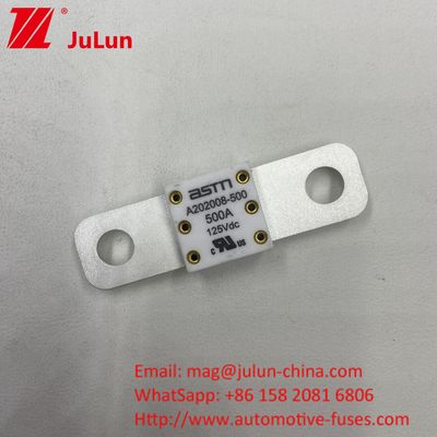 ASTM Fahrzeugbatterie Sicherung 300A 125VDC Ursprung