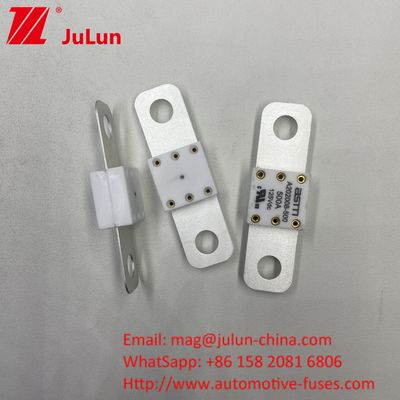 Professionelle A202008 300A 125VDC Schwerlast-Automotive Batterie Ladegerät Sicherung 100A 150A 200A 250A 300A 350A 400A 500A 20KA Brechkapazität